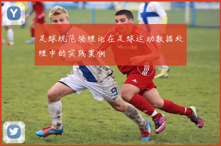 足球规范场理论在足球运动数据处理中的实践案例