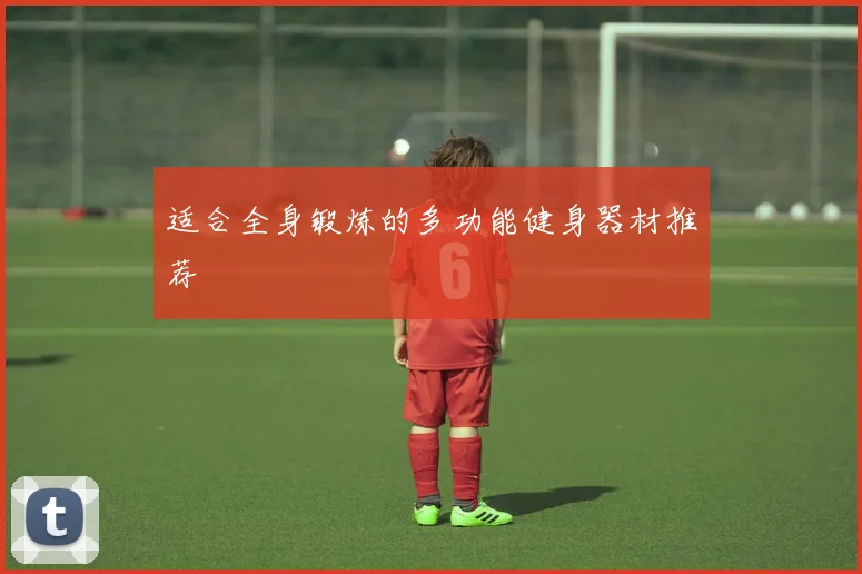 适合全身锻炼的多功能健身器材推荐